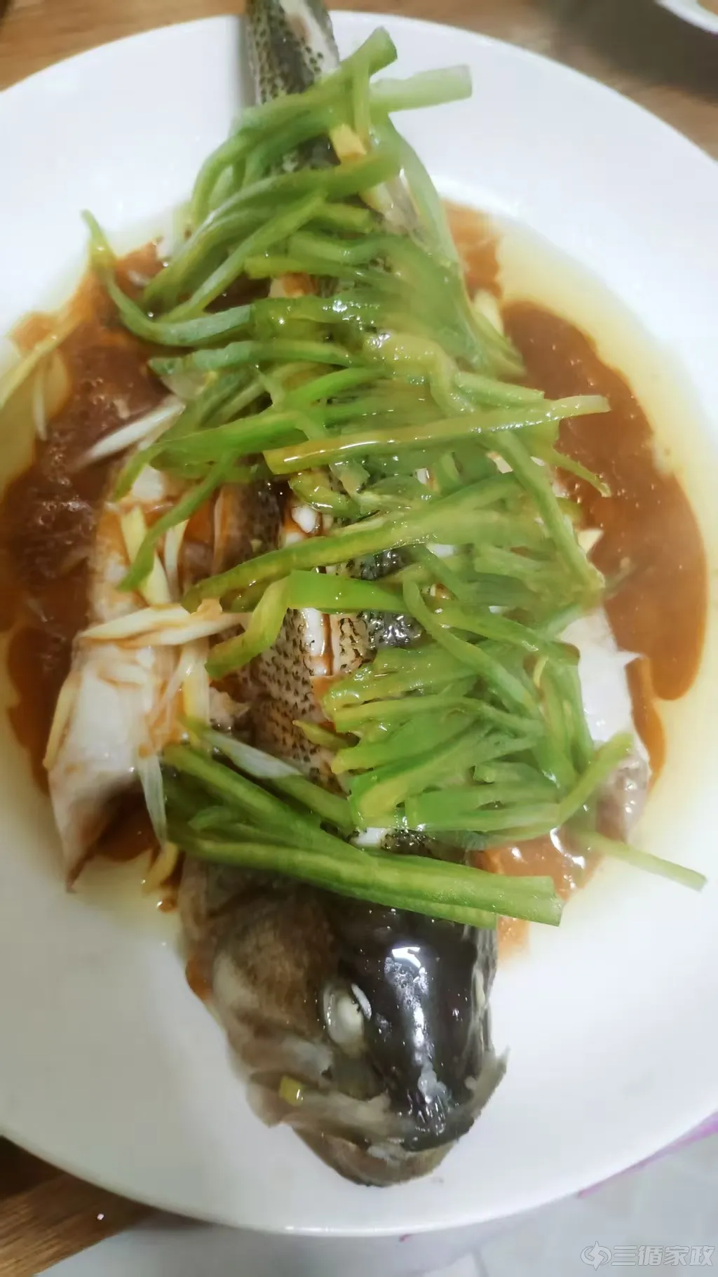 照片